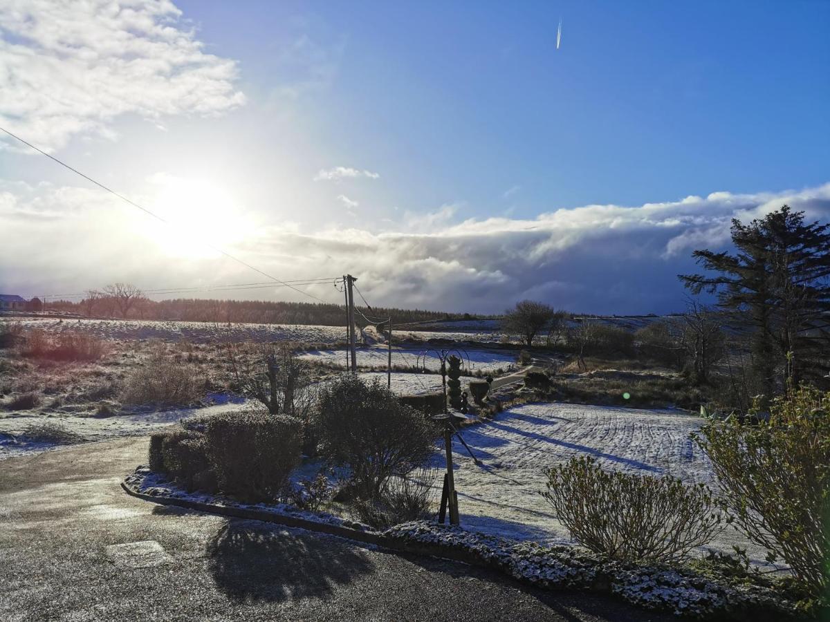 New Listing - Ladybird Cottage - Donegal - Wild Atlantic Way Donegal Town Buitenkant foto