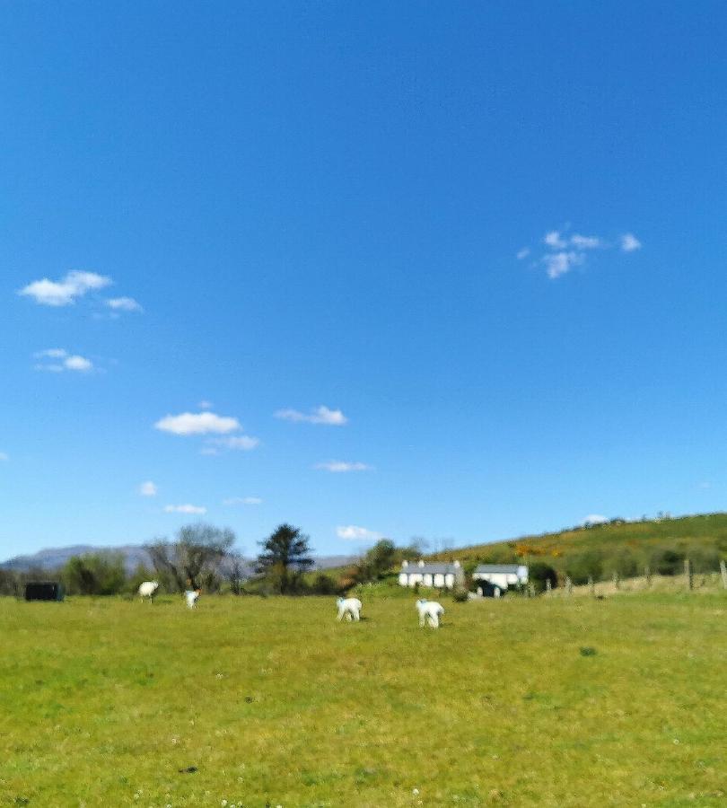 New Listing - Ladybird Cottage - Donegal - Wild Atlantic Way Donegal Town Buitenkant foto