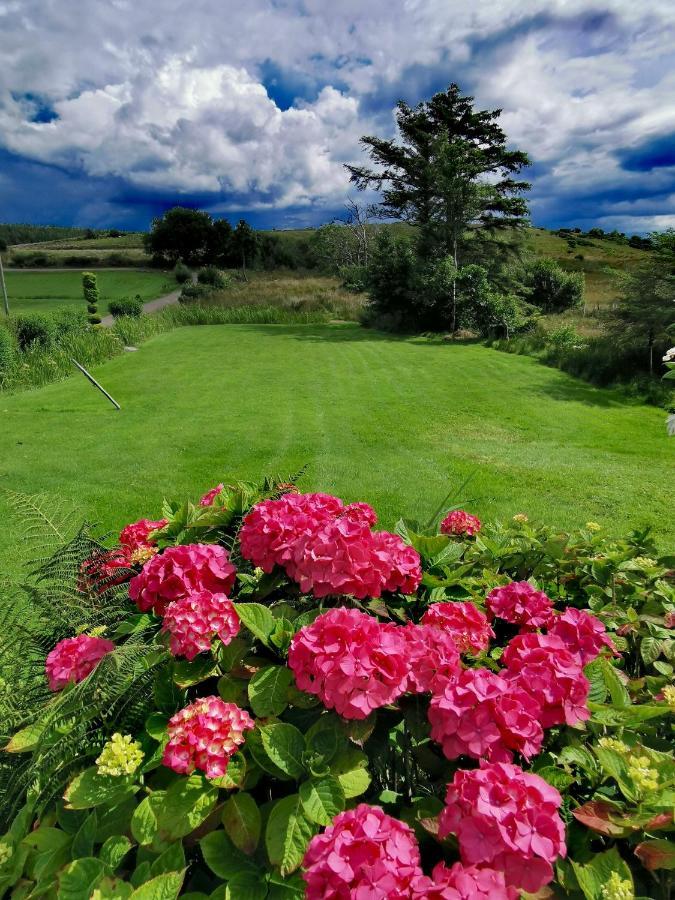 New Listing - Ladybird Cottage - Donegal - Wild Atlantic Way Donegal Town Buitenkant foto