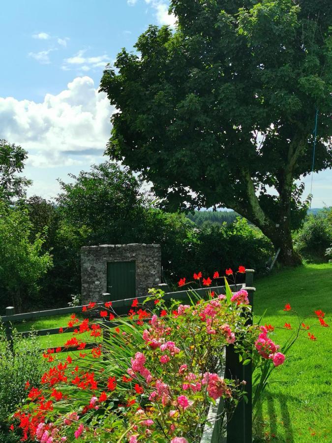 New Listing - Ladybird Cottage - Donegal - Wild Atlantic Way Donegal Town Buitenkant foto