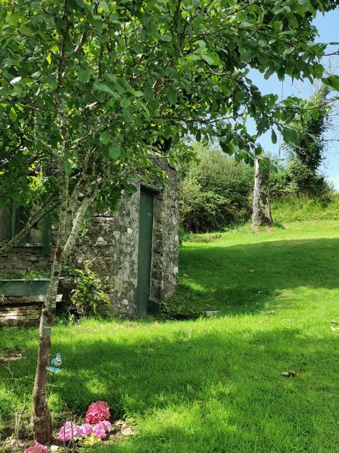 New Listing - Ladybird Cottage - Donegal - Wild Atlantic Way Donegal Town Buitenkant foto