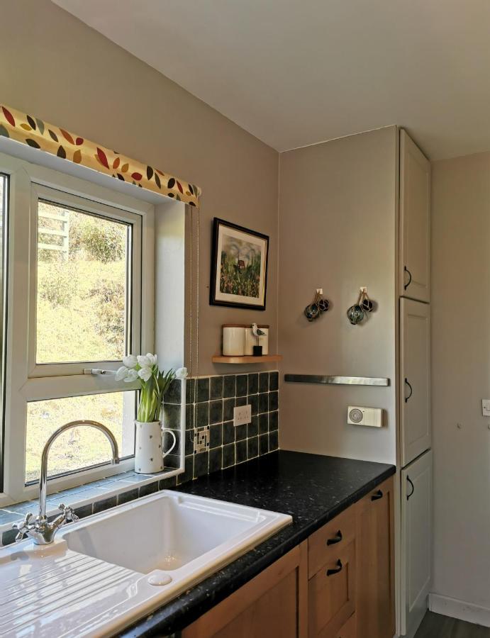 New Listing - Ladybird Cottage - Donegal - Wild Atlantic Way Donegal Town Buitenkant foto