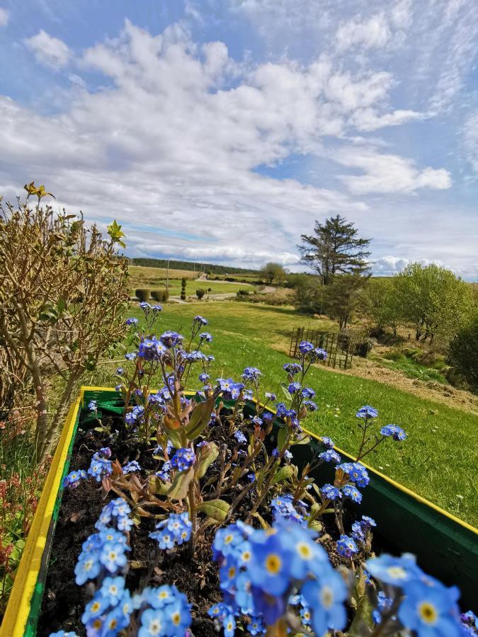 New Listing - Ladybird Cottage - Donegal - Wild Atlantic Way Donegal Town Buitenkant foto