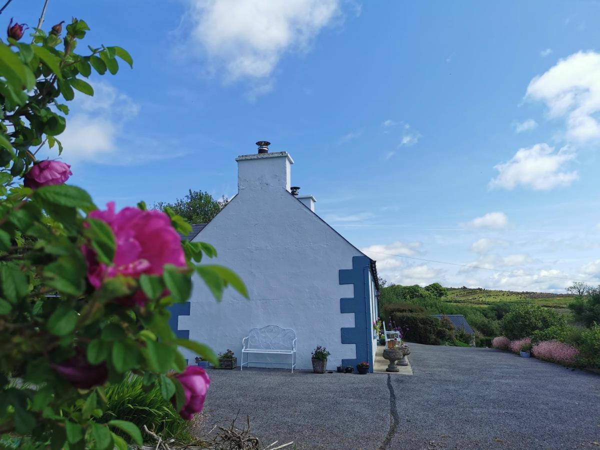 New Listing - Ladybird Cottage - Donegal - Wild Atlantic Way Donegal Town Buitenkant foto