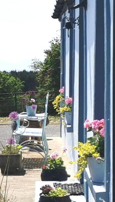 New Listing - Ladybird Cottage - Donegal - Wild Atlantic Way Donegal Town Buitenkant foto