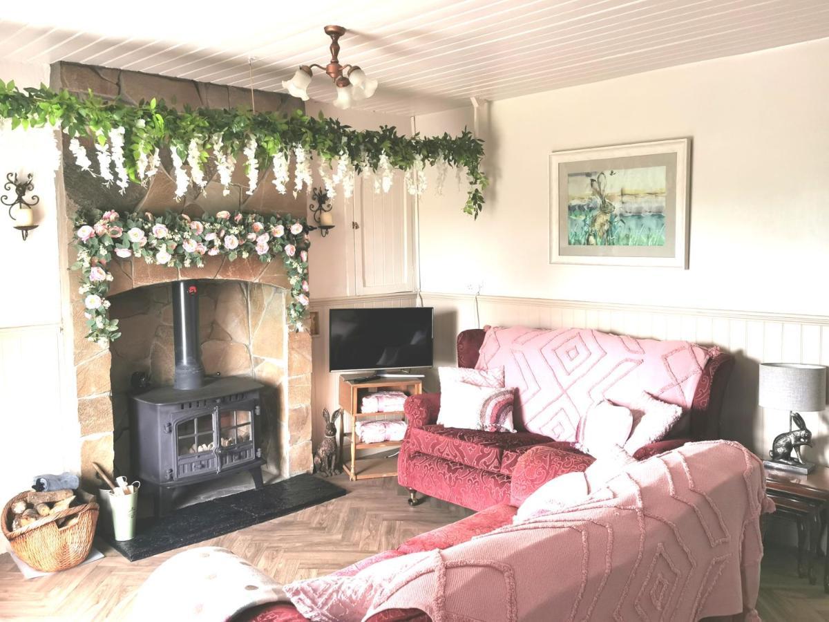 New Listing - Ladybird Cottage - Donegal - Wild Atlantic Way Donegal Town Buitenkant foto